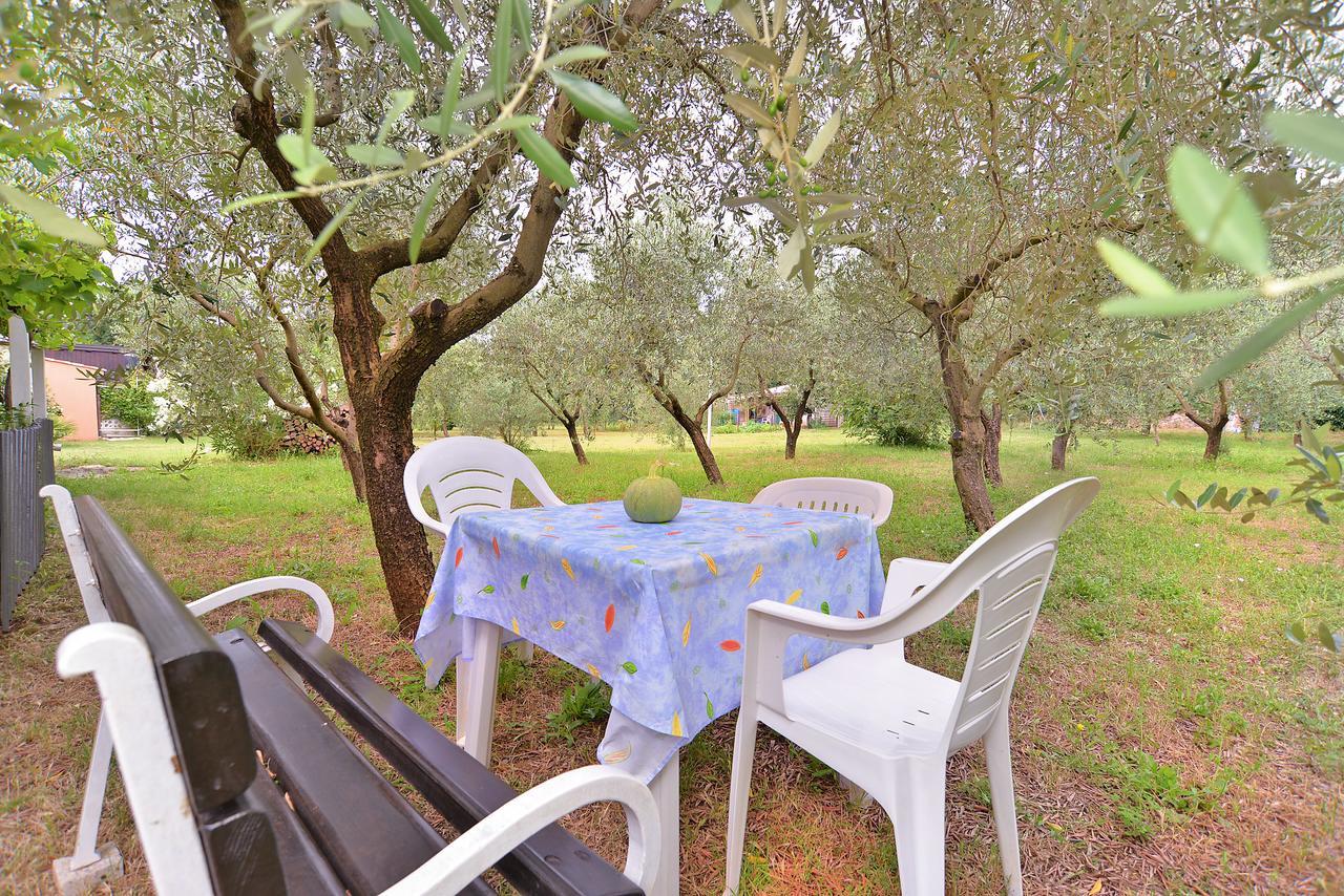 Apartments Dragica 929 Фажана Екстер'єр фото